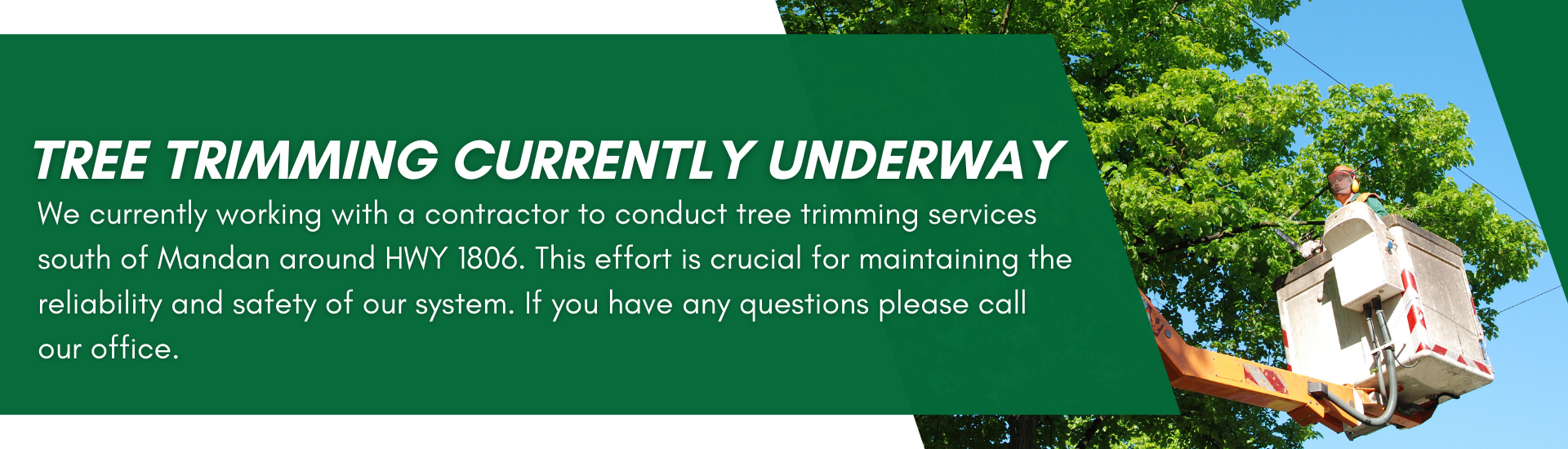 Tree trimming